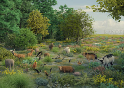 Illustration détaillée d'une zone de transition écologique montrant l'effet de bordure avec une biodiversité riche entre forêt et prairie, animaux variés et végétation en dégradé